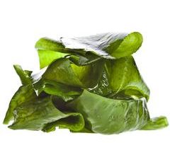 Sea Kelp moisturizer