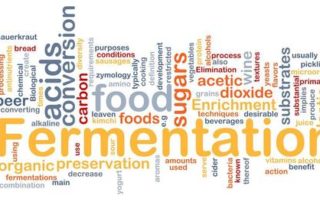 fermented skin care