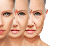 pollution and early skin aging