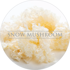 Snow Mushroom for skin hydration