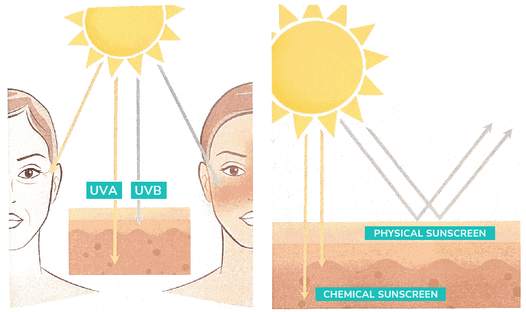 Sunscreen- physical vs chemical